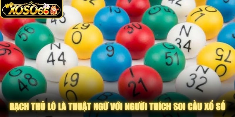 Bạch thủ lô là thuật ngữ quen thuộc với người thích hình thức soi cầu xổ số