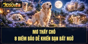 Mơ Thấy Chó - 8 Điềm Báo Dễ Khiến Bạn Bất Ngờ